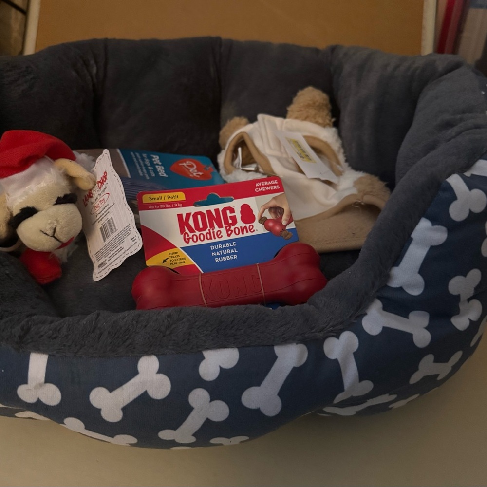 Dog toys and dog bed for small dogs KONG Red Goodie Bone with Gray Dog Bed